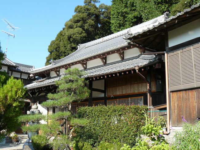 ���y���E���