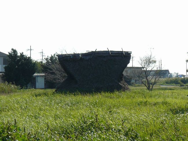 ���y���E�Γ���