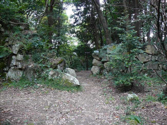 ���y���E�ω�����