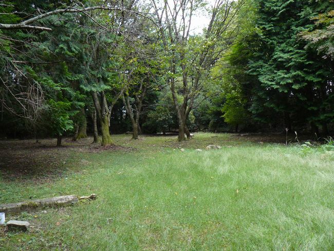 ���y���E�ω�����