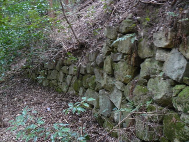 ���y���E�ω�����