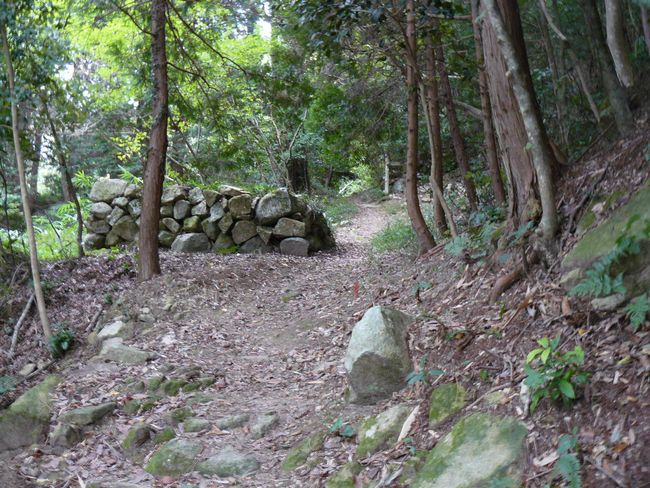 ���y���E�ω�����