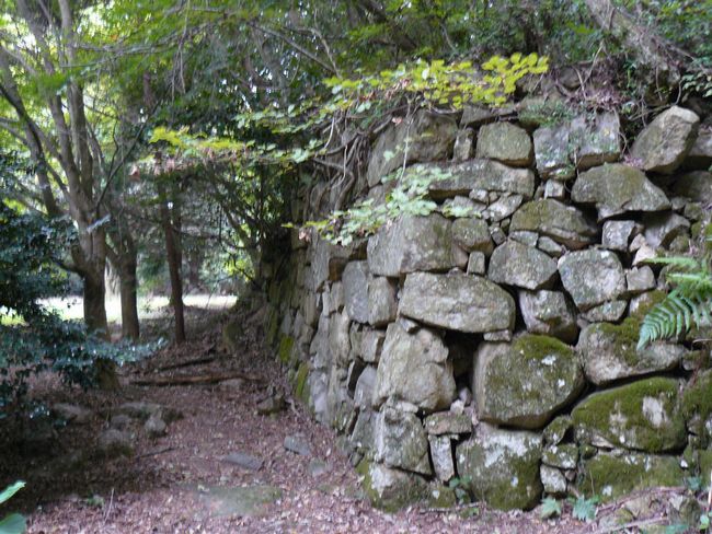 ���y���E�ω�����