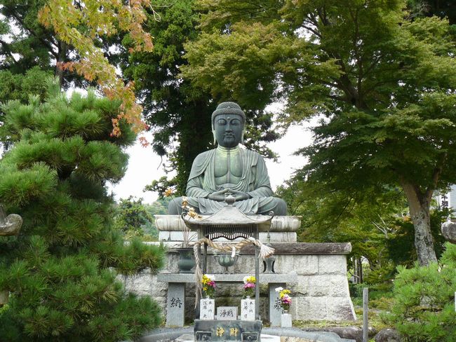 ���y���E�ω�����