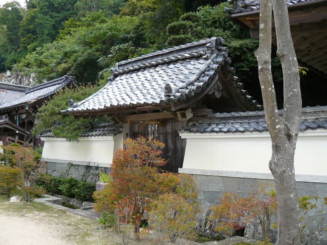 ���y���E�ω�����