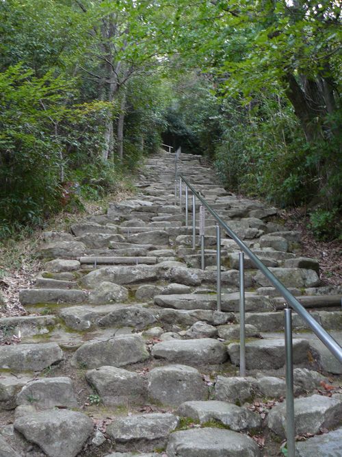 ���y���E�ω�����