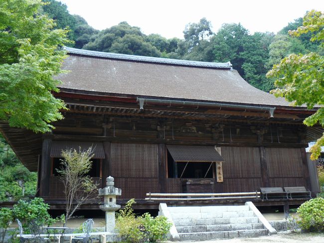 ���y���E�K����