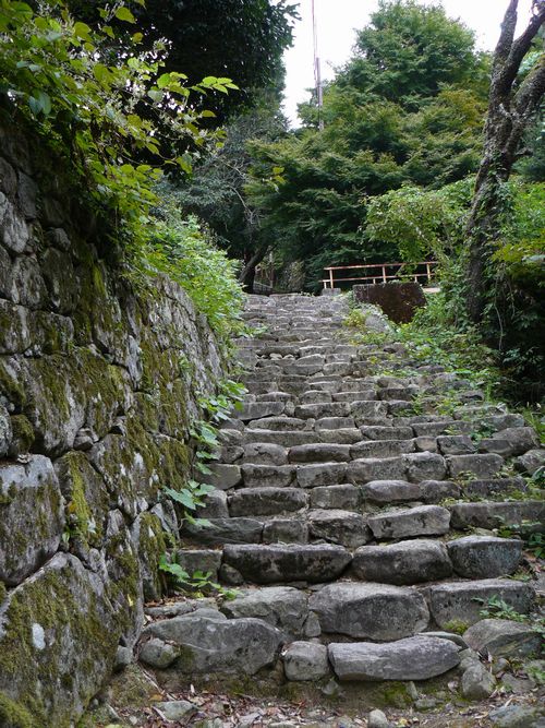 ���y���E�K����