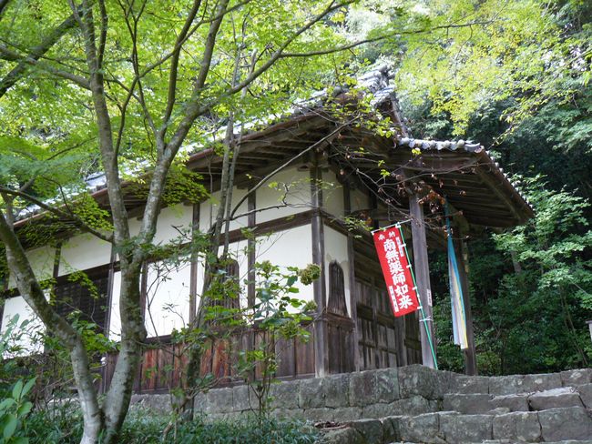 ���y���E�K����