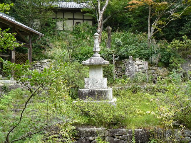 ���y���E�K����