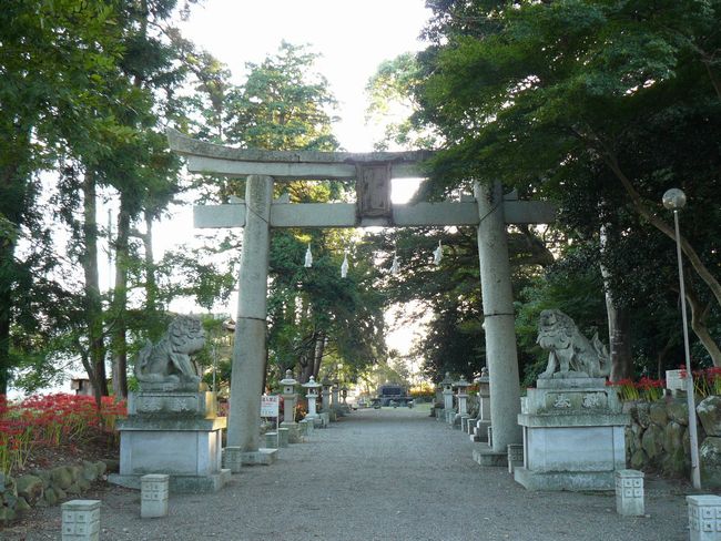 ���y���E�����M�_��