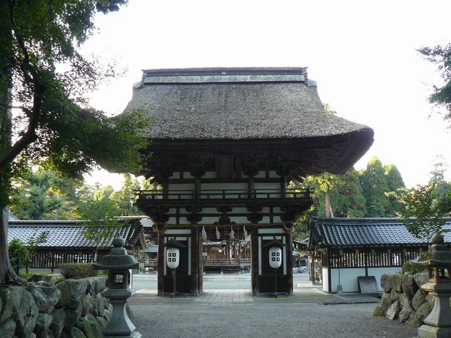 ���y���E�����M�_��