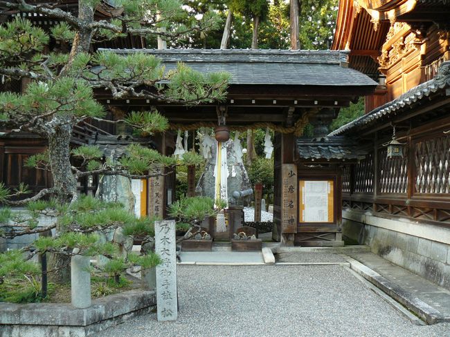 ���y���E�����M�_��