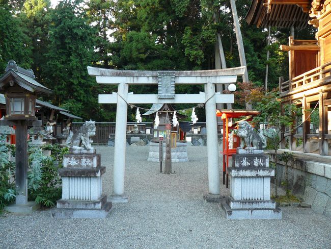 ���y���E�����M�_��