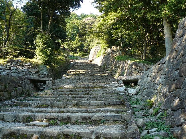 ����E���y��