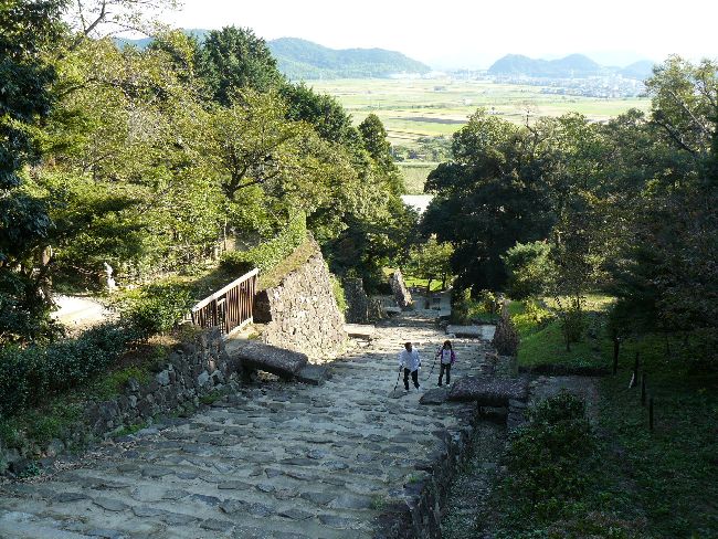 ����E���y��