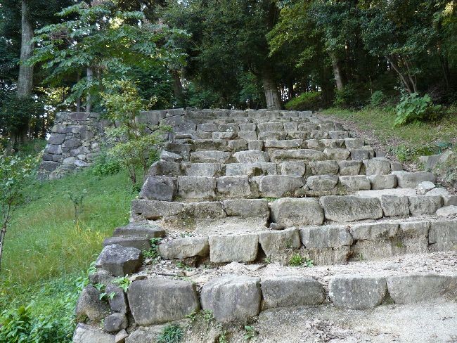 ����E���y��