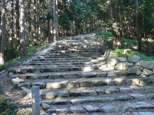 ����E���y��