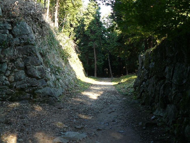 ����E���y��