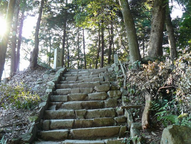 ���y���E���y��