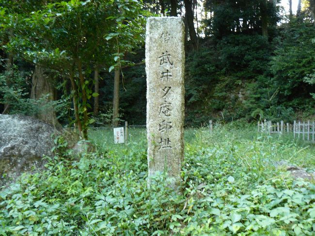 ���y���E���y��