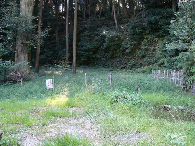 ���y���E���y��