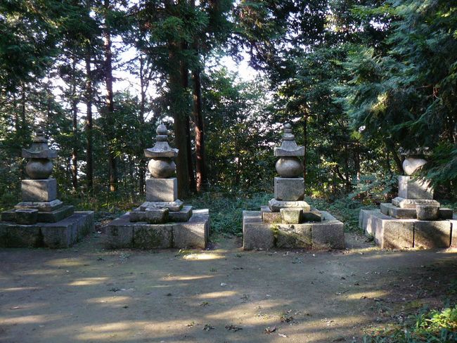 ���y���E���y��