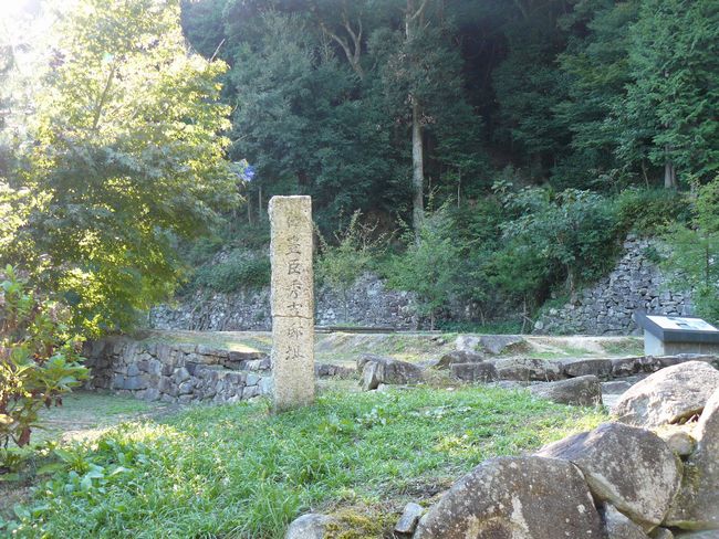 ���y���E���y��