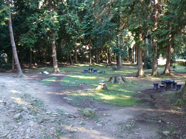 ���y���E���y��