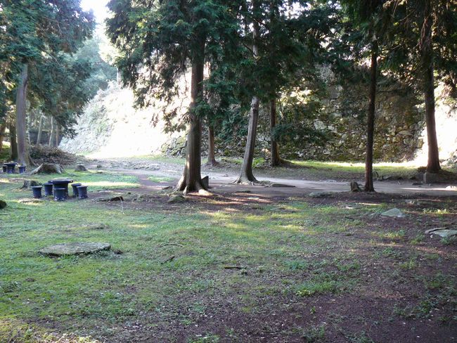 ���y���E���y��