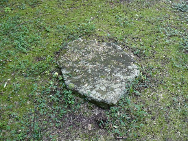 ���y���E���y��