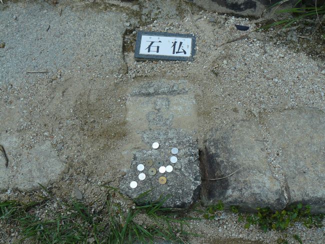 ���y���E���y��