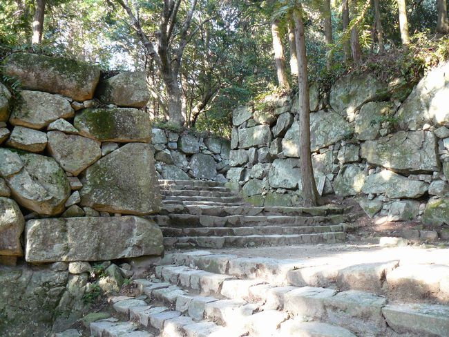 ���y���E���y��