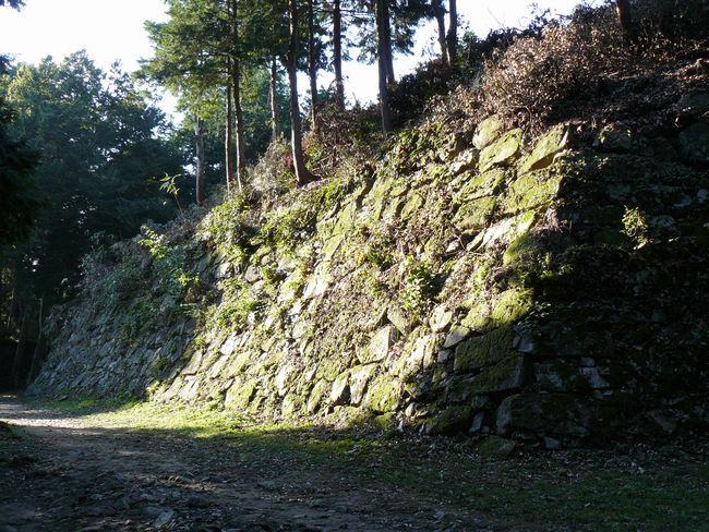 ���y���E���y��