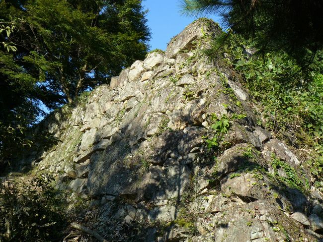 ���y���E���y��