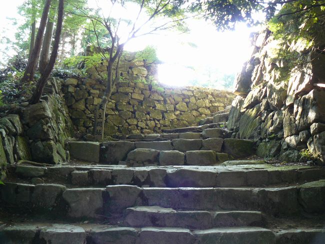 ���y���E���y��