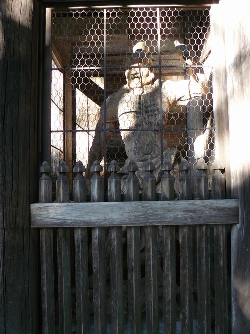 ���y��E�ʌ���