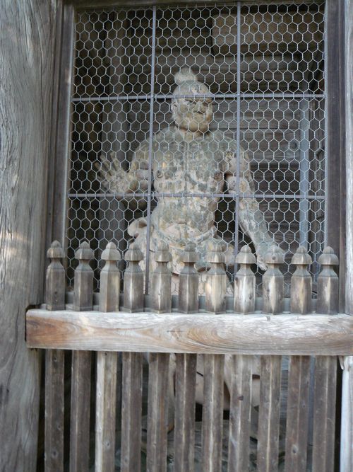 ���y��E�ʌ���