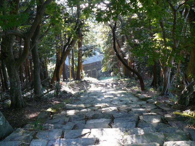 ���y��E�ʌ���