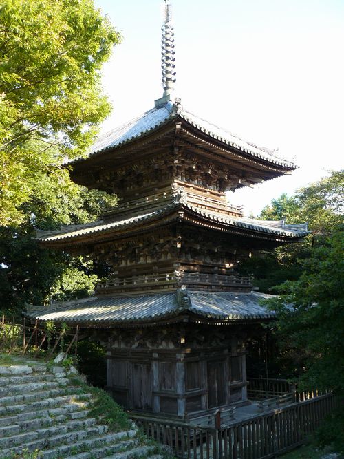 ���y��E�ʌ���