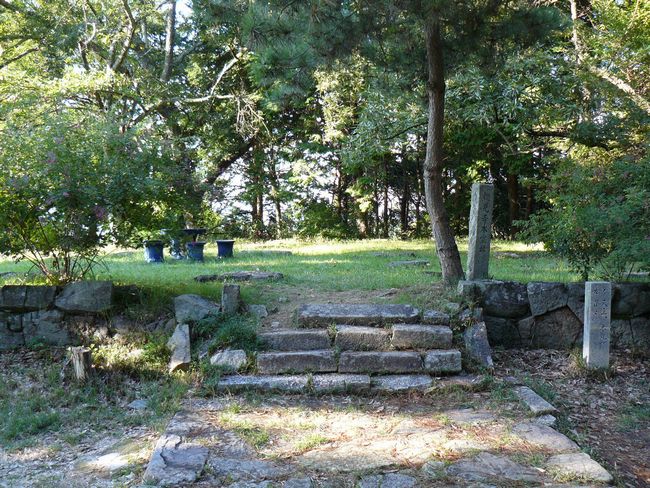 ���y��E�ʌ���