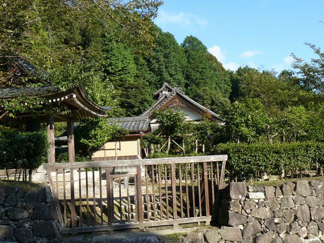 ���y��E�ʌ���