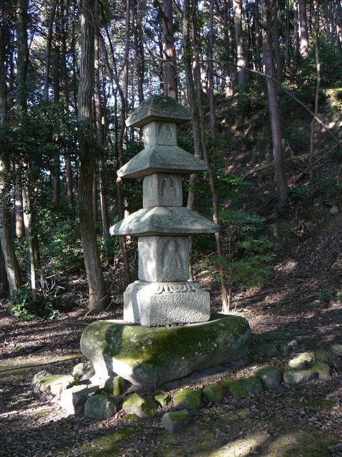 ���y��E�ʌ���