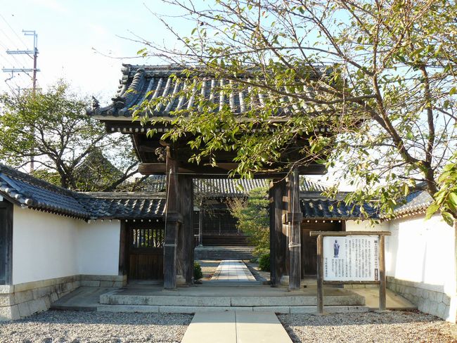 ���y���E���쎛