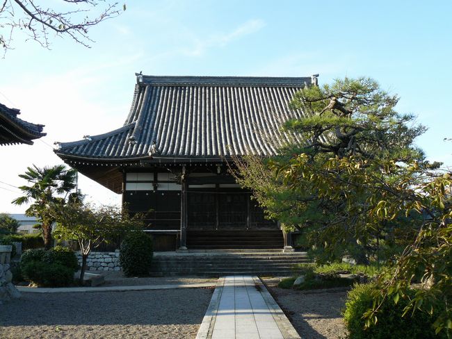 ���y���E���쎛