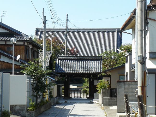 �������E������