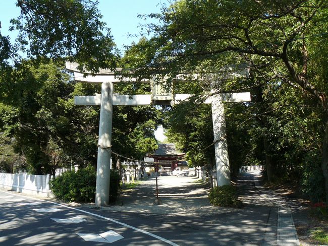 �������E�L���_��