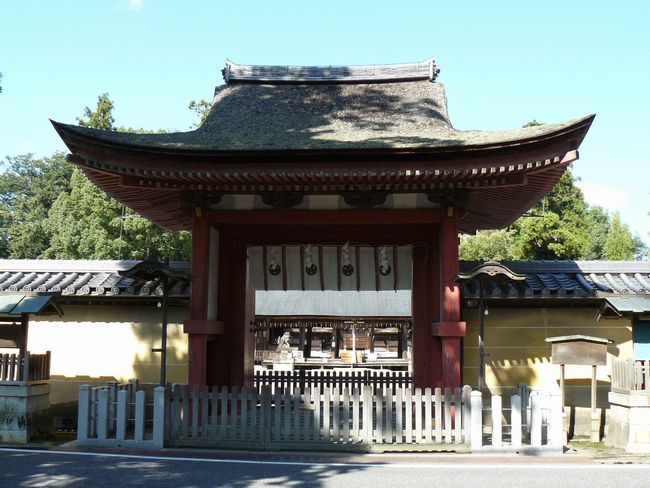 �������E�L���_��