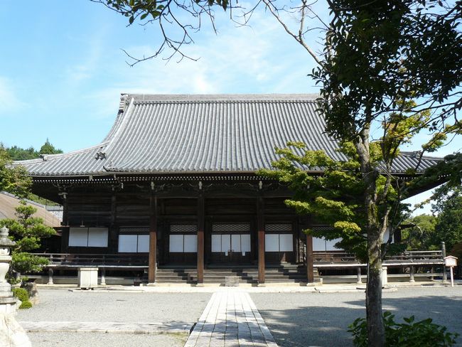 �������i���q���G�F��񎛁j