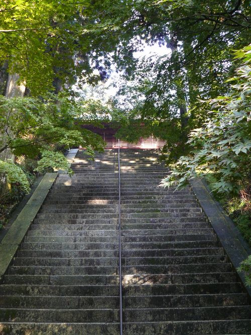 ��b�R��������E����O